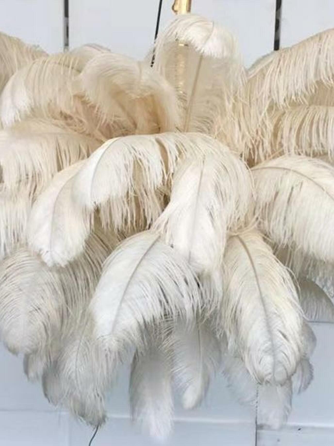 Ostrich Feather Chandeliers - Cueteks