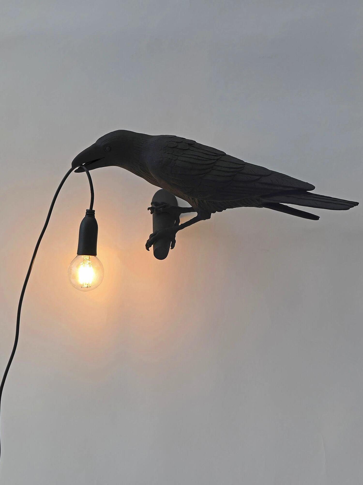 Black bird in side profile with a lit hanging bulb and trailing cord against a light wall