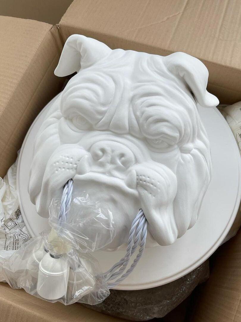 White sculpted bulldog face and round backplate in a box