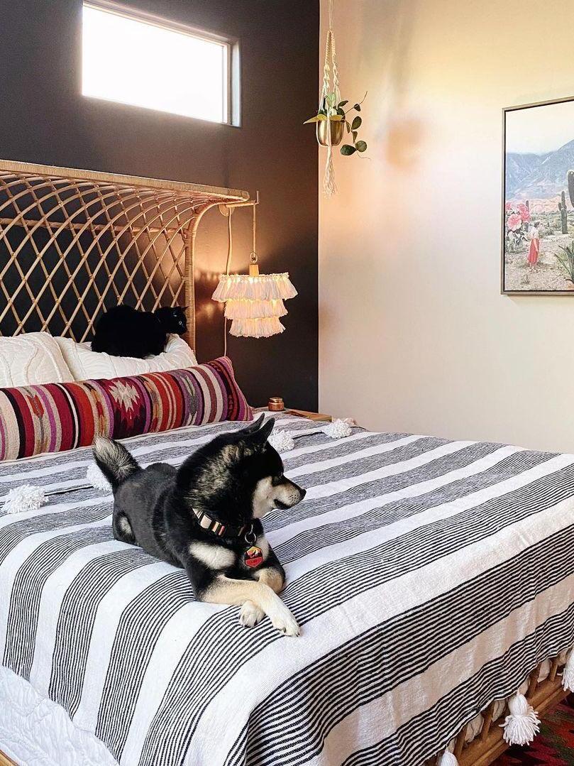 Tassel wall light beside a bed with a dark headboard