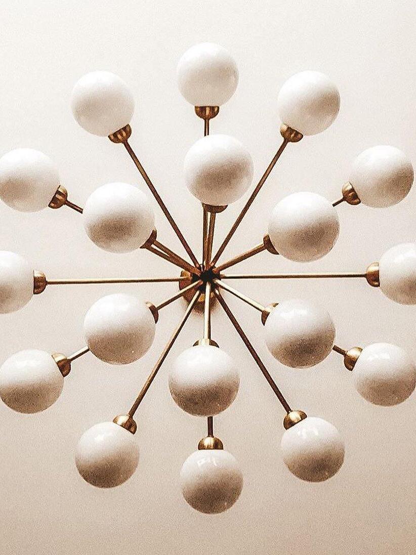 Apiales Chandeliers - Cueteks