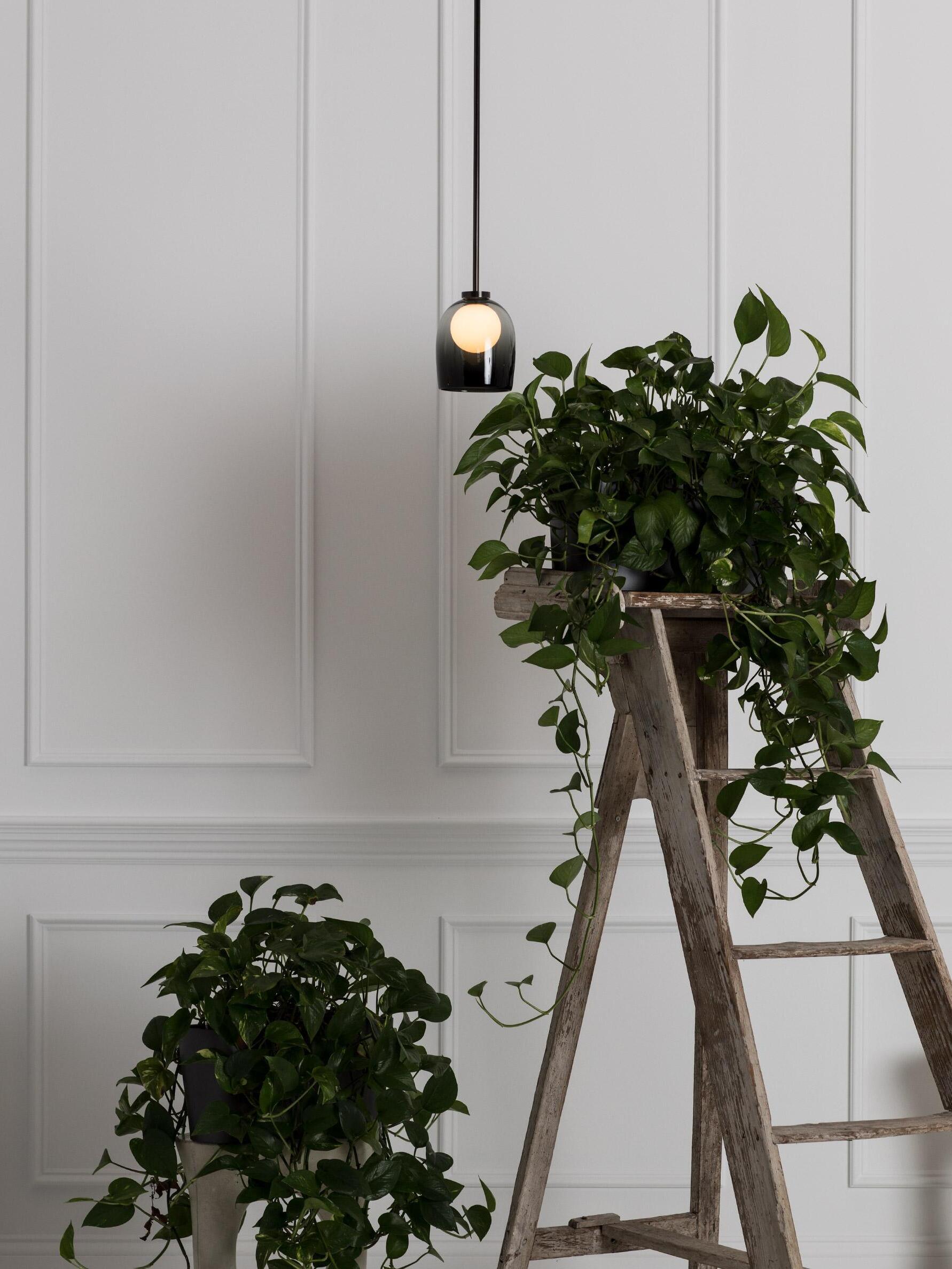 Gradient-black Crux pendant in a pale room with plants on a wooden stand