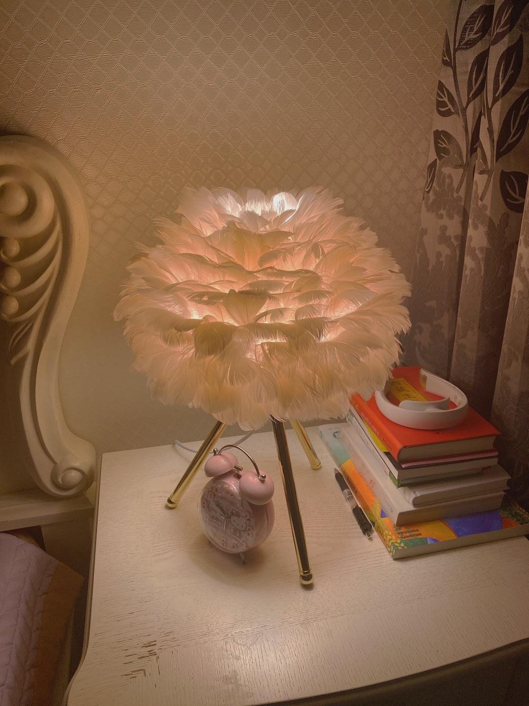 Pale pink feather lamp beside books