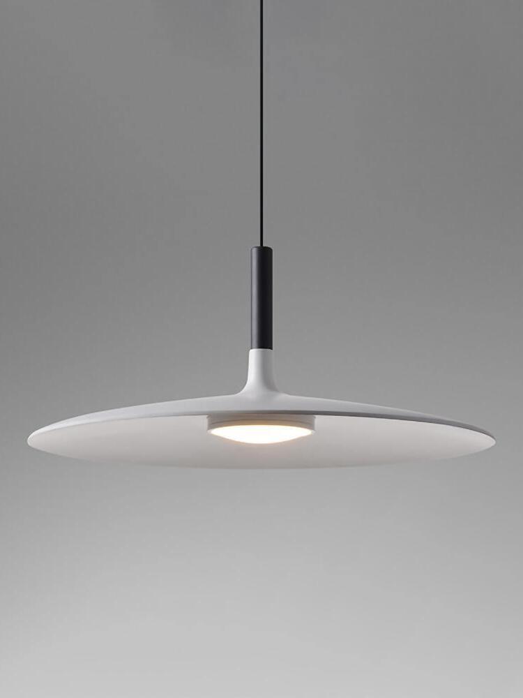 Aplomb Metal Pendant Lamp - Cueteks