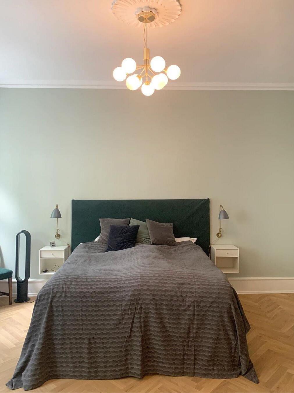 Apiales Chandeliers - Cueteks