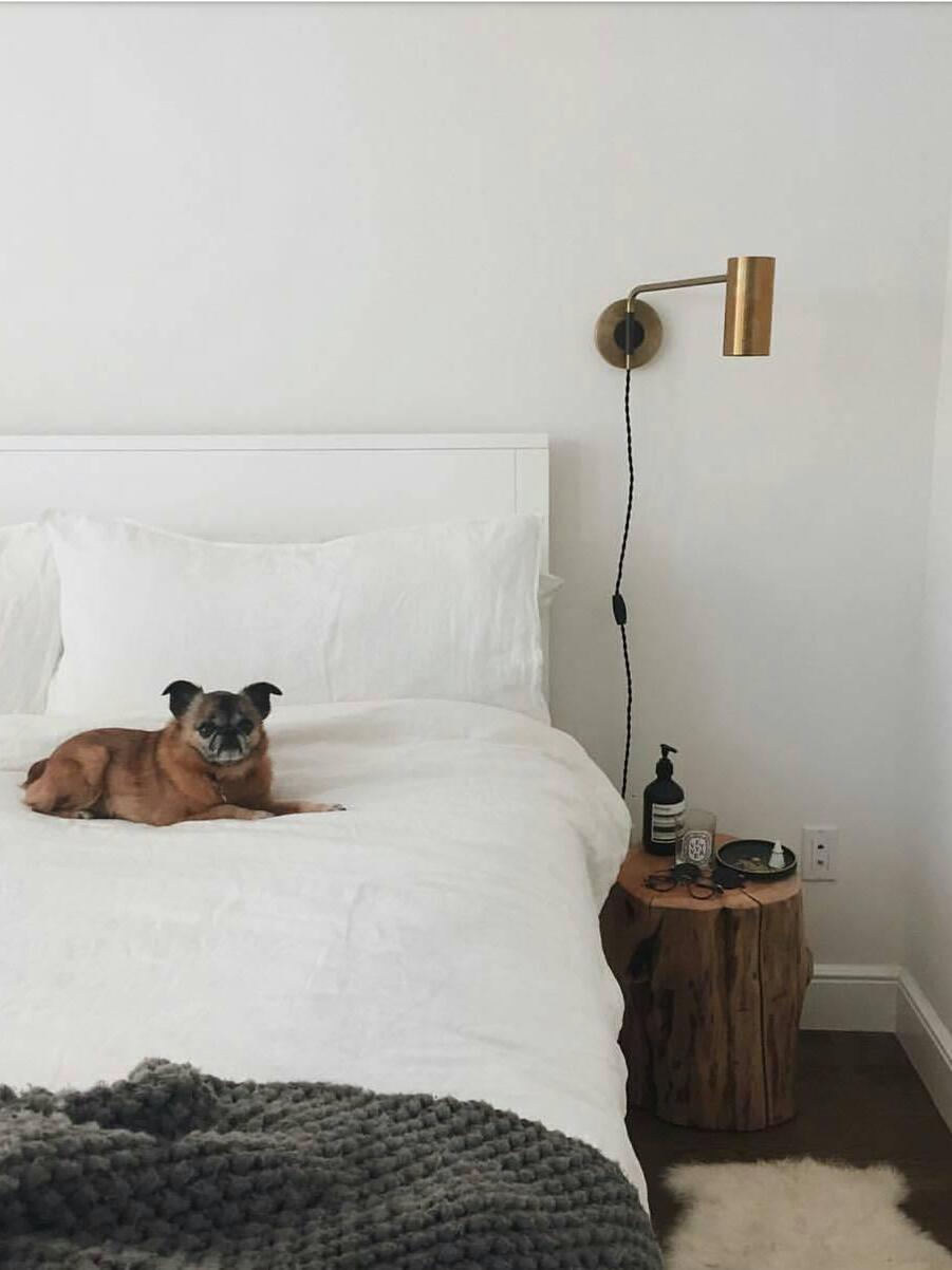 Brass-tone bedside light with long cord and cat on bed