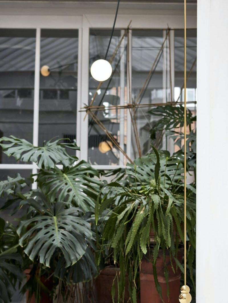 Several small lit hanging balls by a plant-filled window