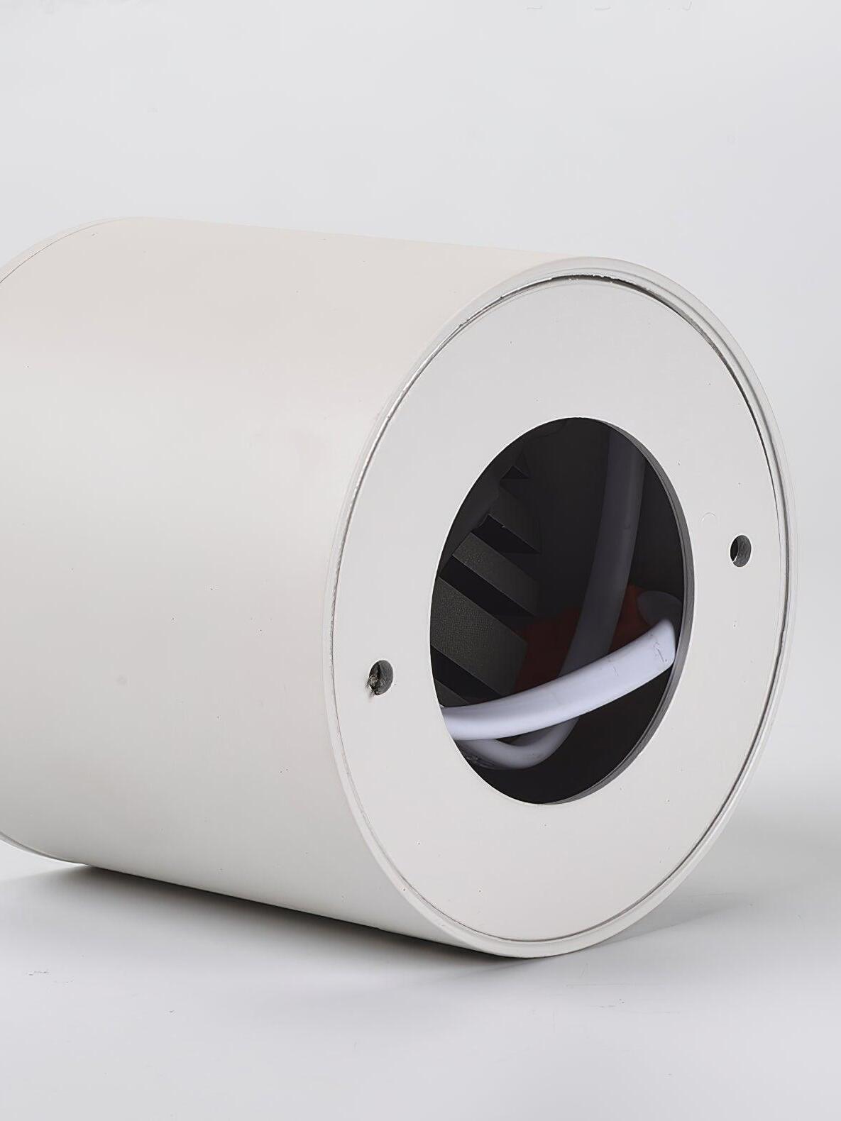Rear of white Modupoint showing circular opening, two fixing holes, wires and dark internal fins