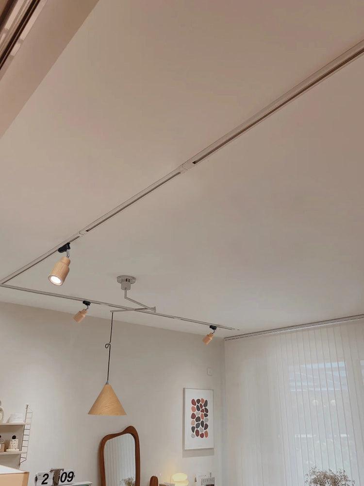 Ceiling spot track in room with separate pendant