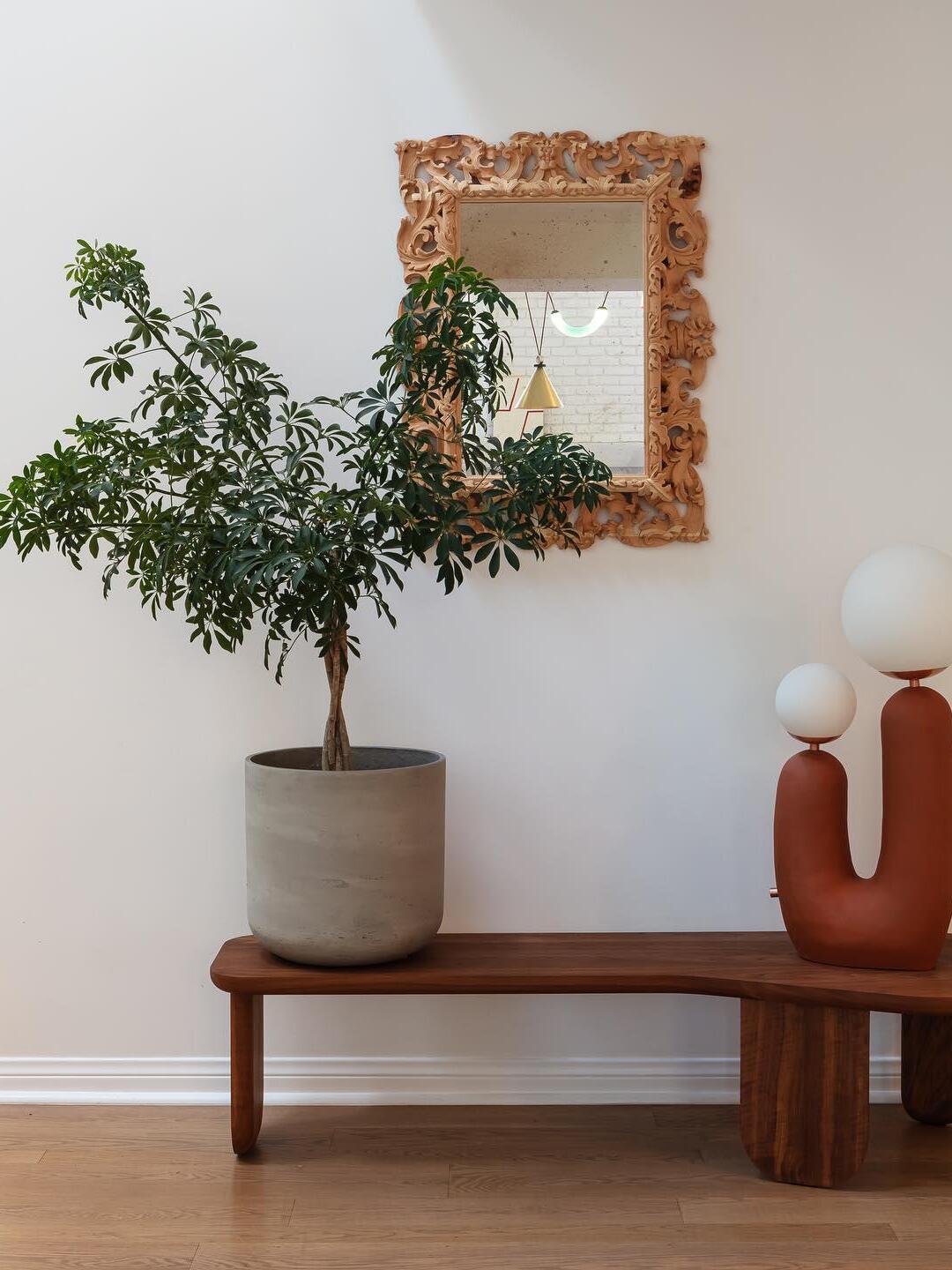 Macaroon Oo Ceramics Cactus Table Lamp - Cueteks