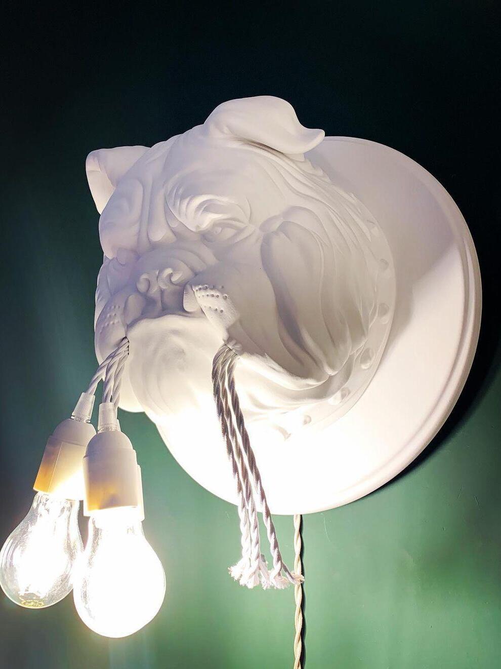 Close side view of a white bulldog head and glowing bulbs