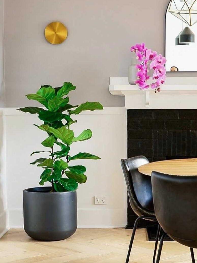 Gossa Sconce - Cueteks