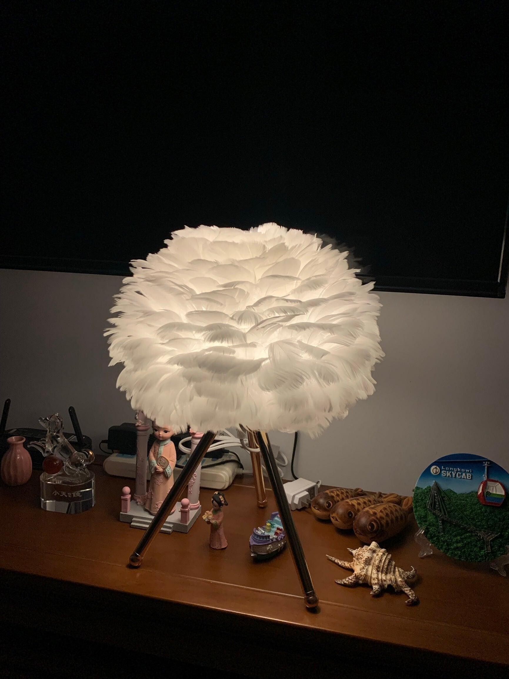 White feather lamp on wood cabinet below screen