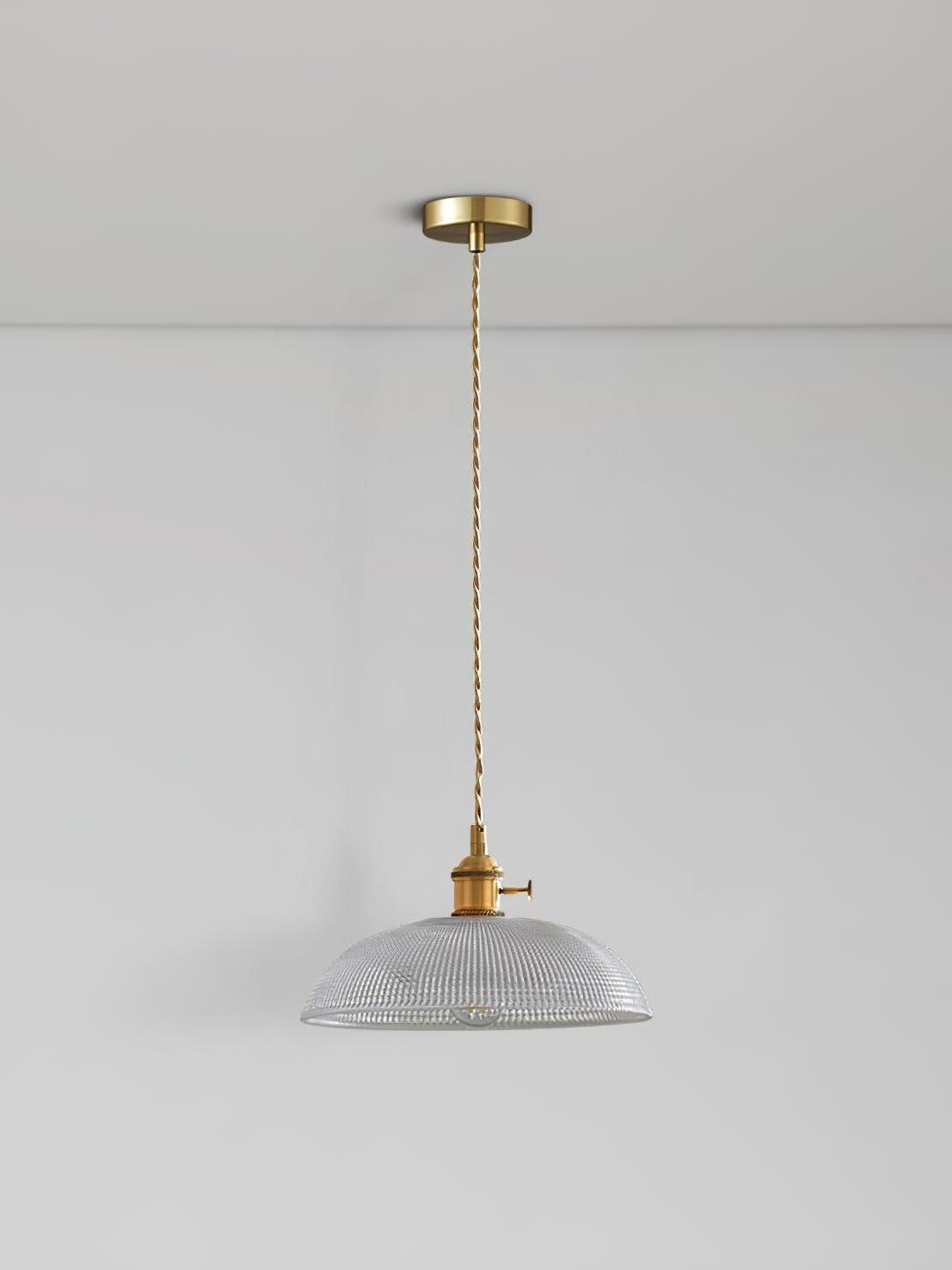 Single glass dome pendant with long braided suspension