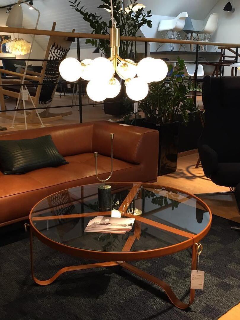 Apiales Chandeliers - Cueteks