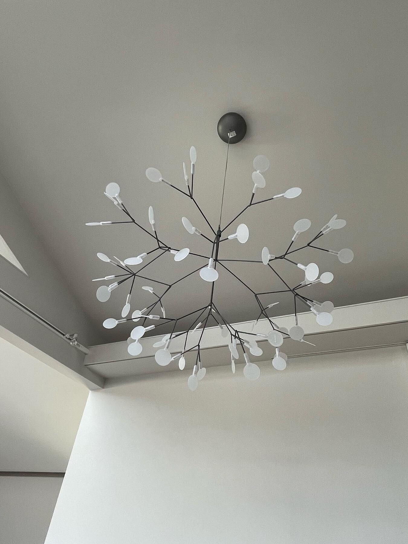Black Heracleum Chandelier - Cueteks