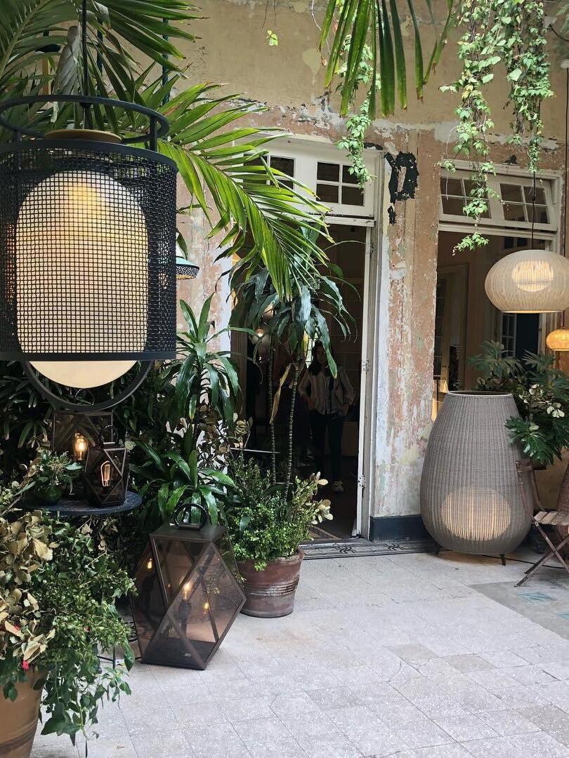 Black hanging lantern beside large green plants