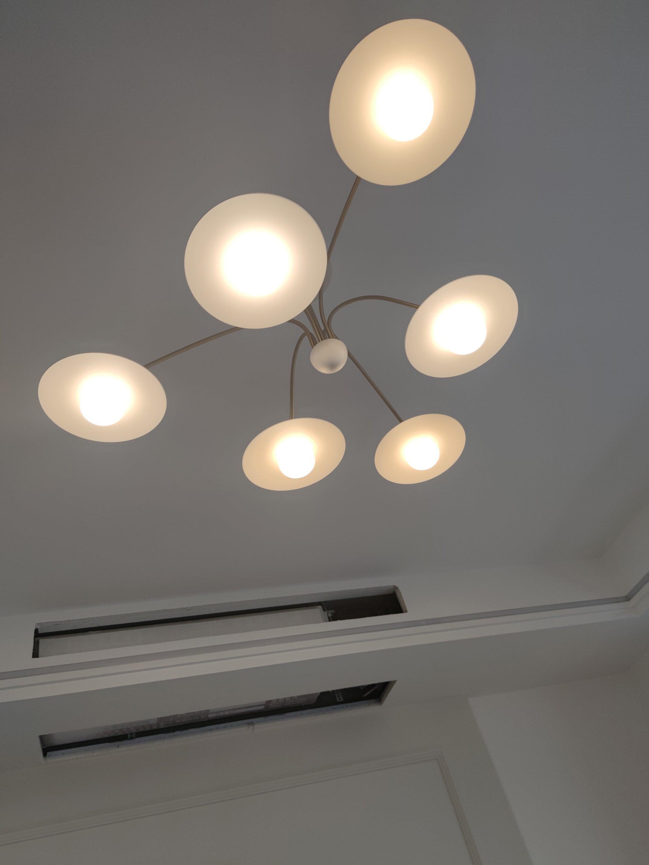 Champignon Chandelier - Cueteks