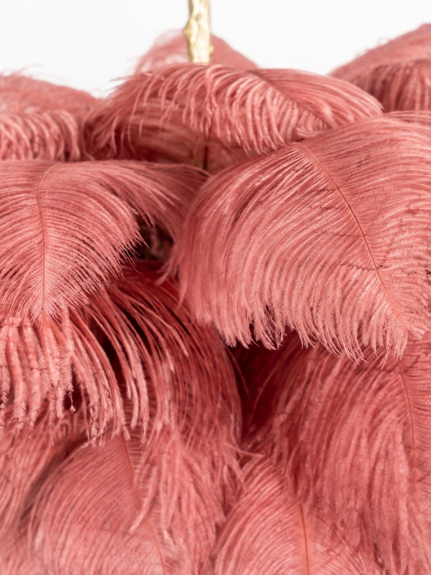 Ostrich Feather Chandeliers - Cueteks