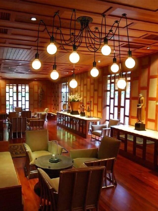 Spider Ceiling Chandelier - Cueteks