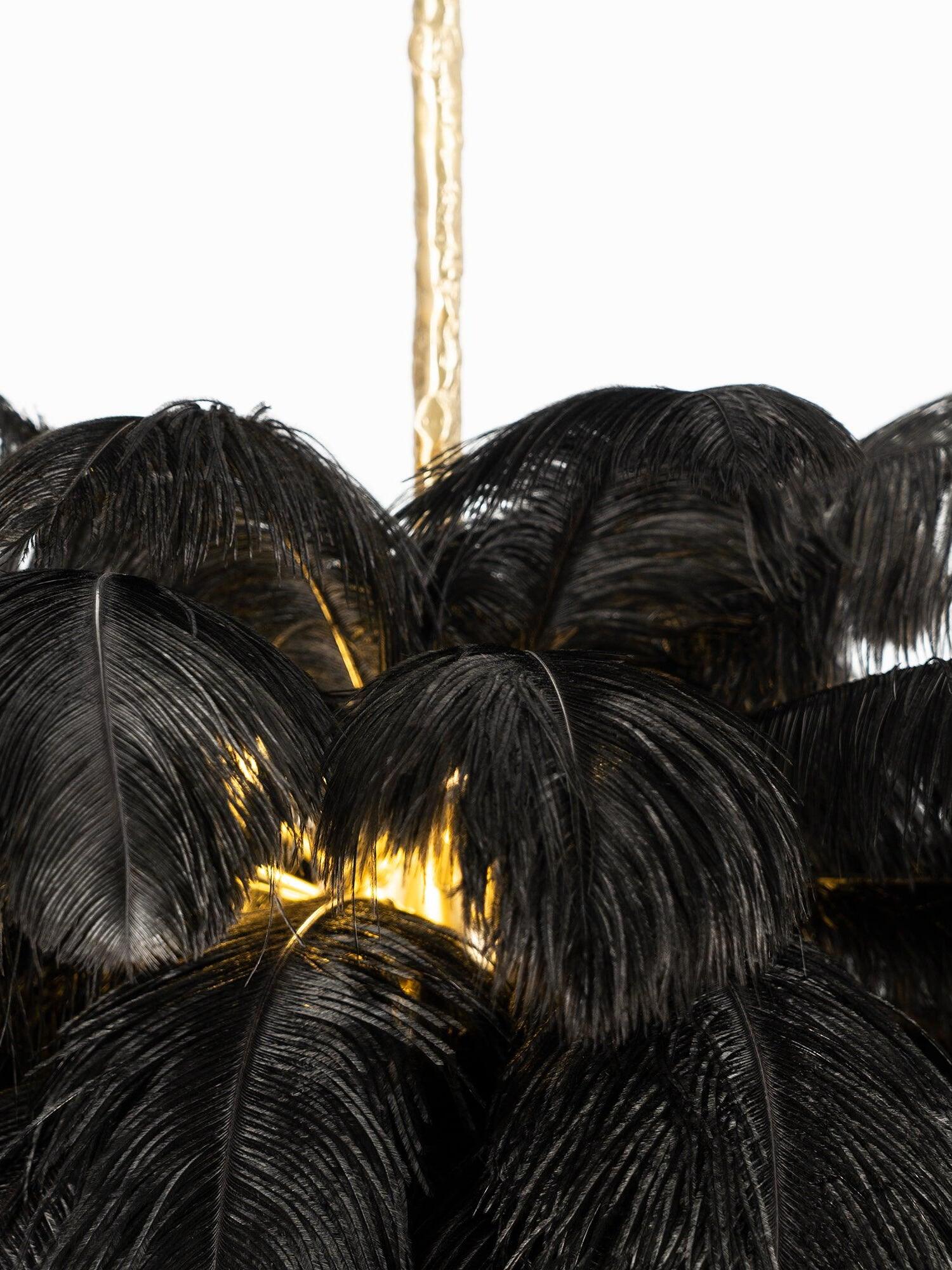 Ostrich Feather Chandeliers - Cueteks
