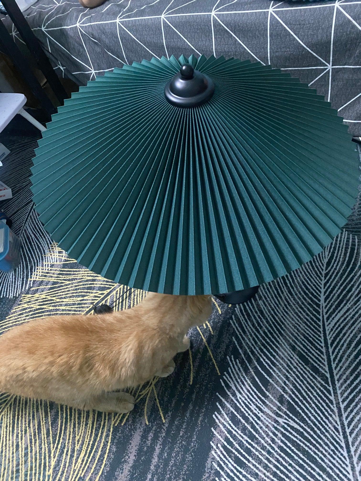 Pleated Hat Table Lamp - Cueteks
