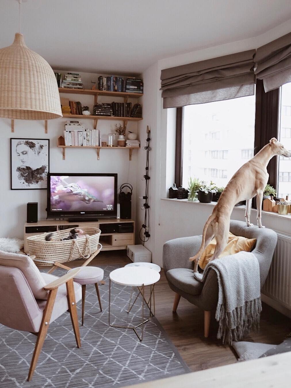 Woven pendant near a sofa and hanging chair