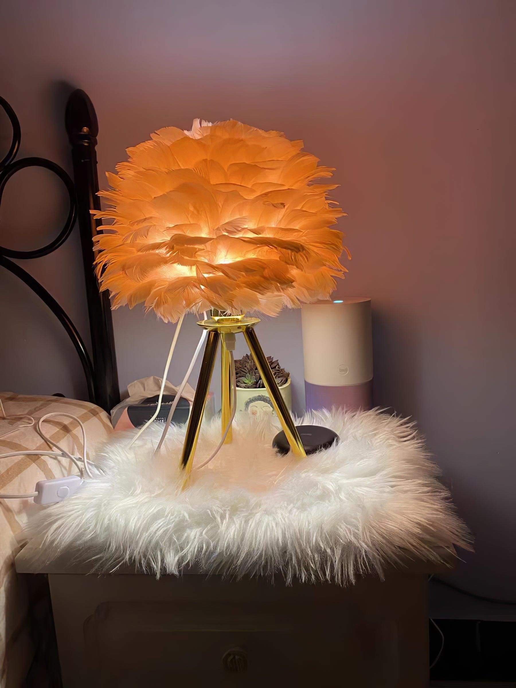 Warm orange-looking feather lamp on fuzzy cabinet