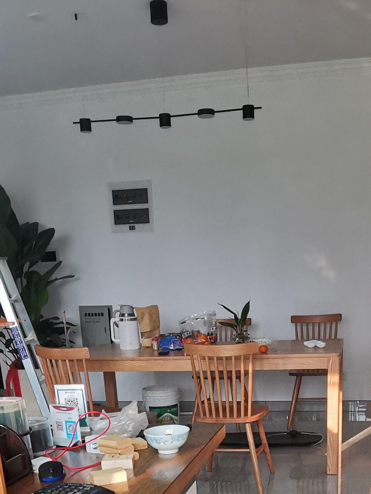 Black linear light above a dining table in a bright room