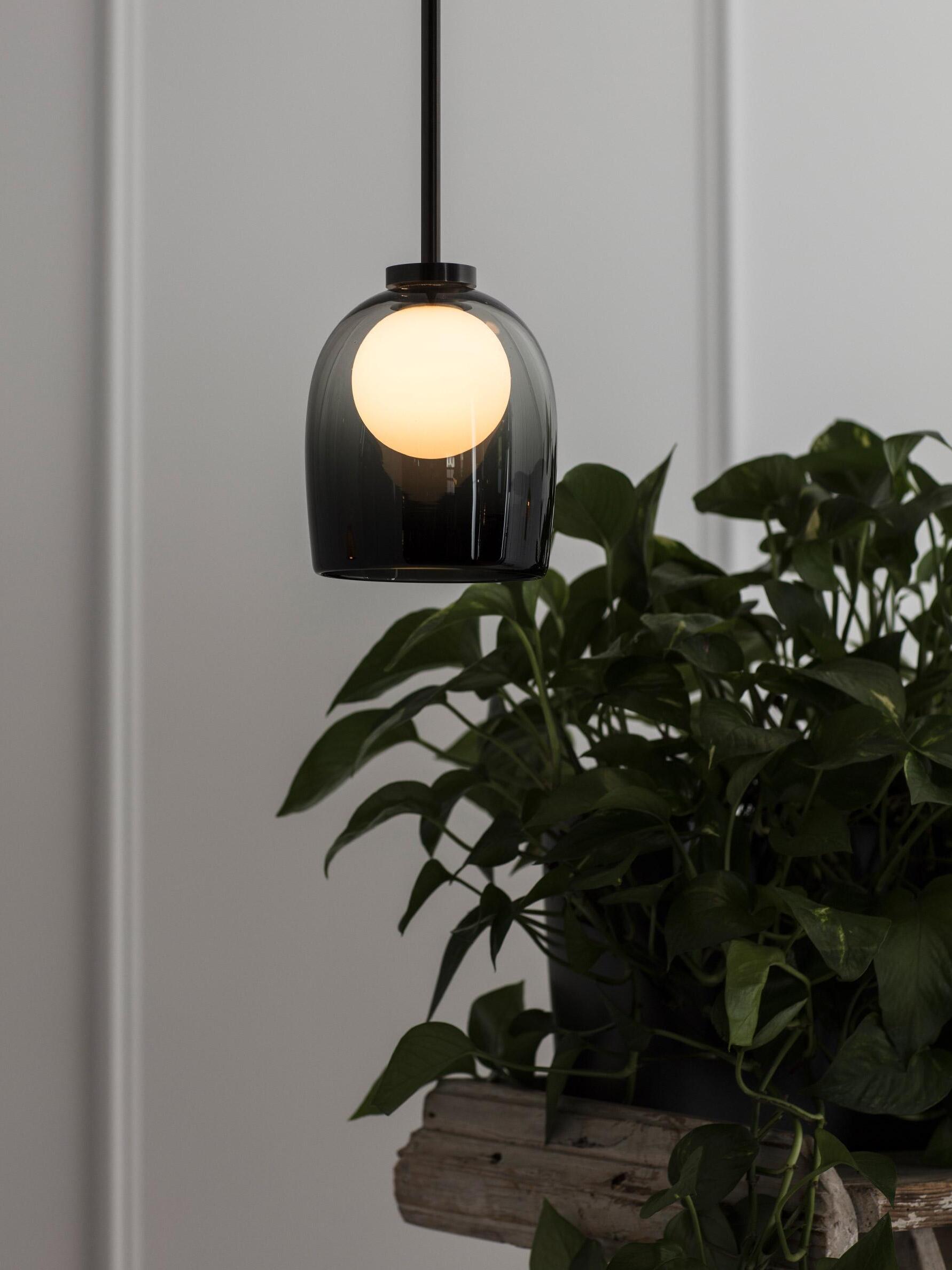 Gradient-black Crux pendant hanging beside a leafy indoor plant