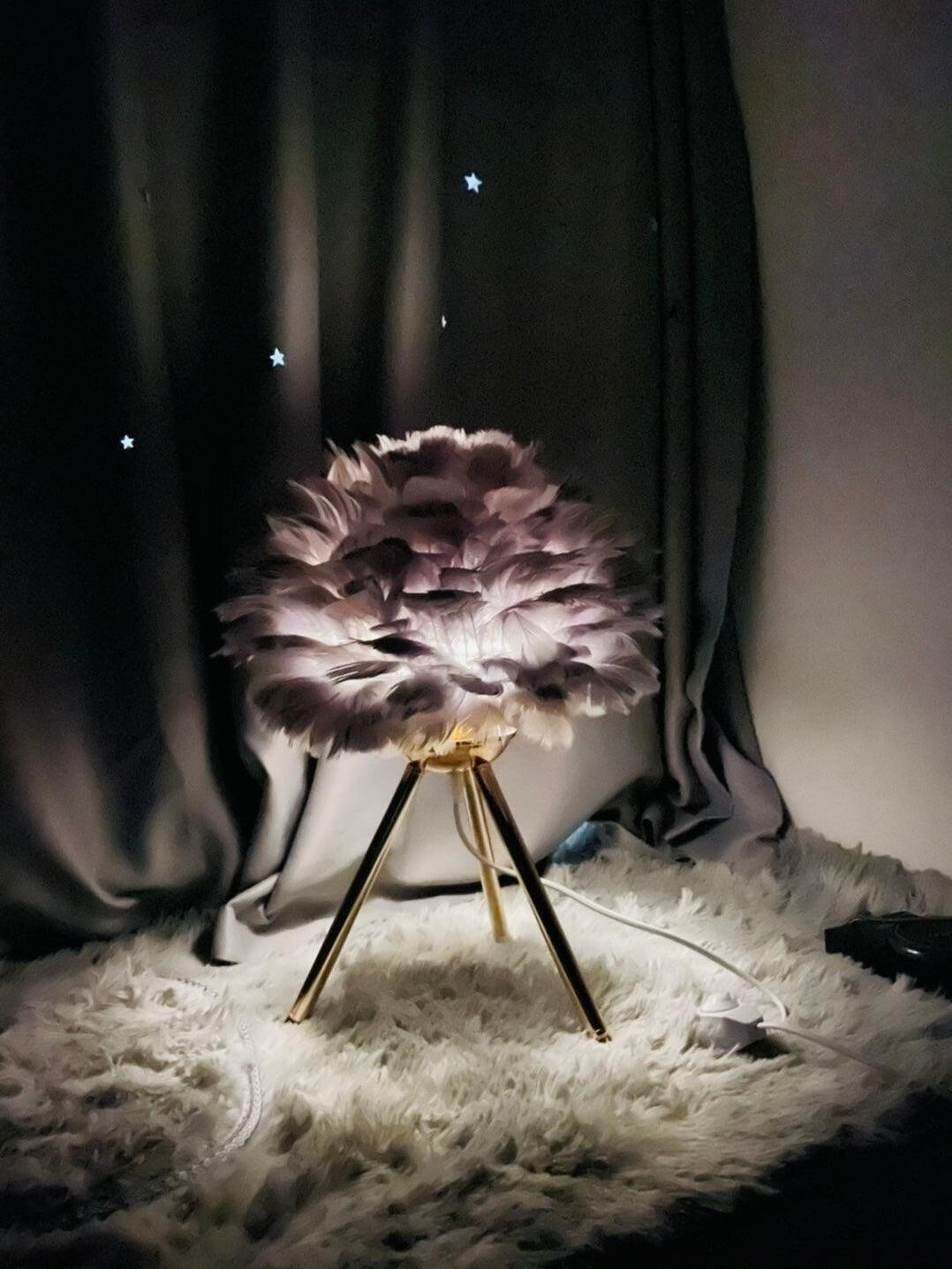 Grey feather lamp lit by dark curtain