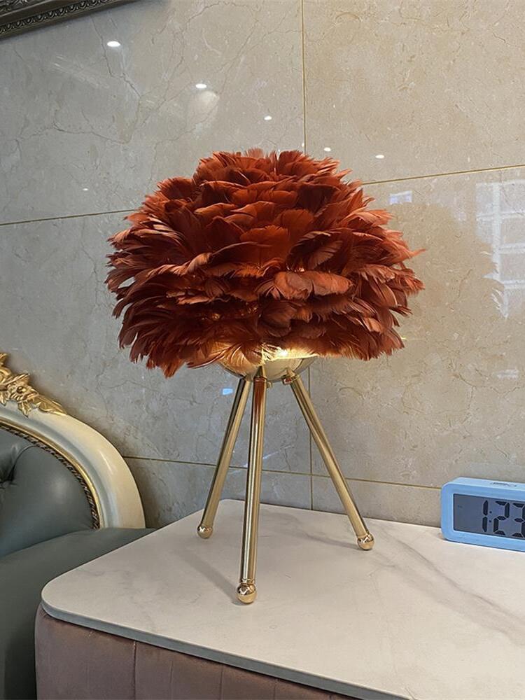 Brown-looking feather lamp pictured on bedside table