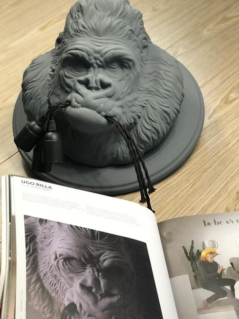 Grey gorilla face laid flat beside printed lighting magazine