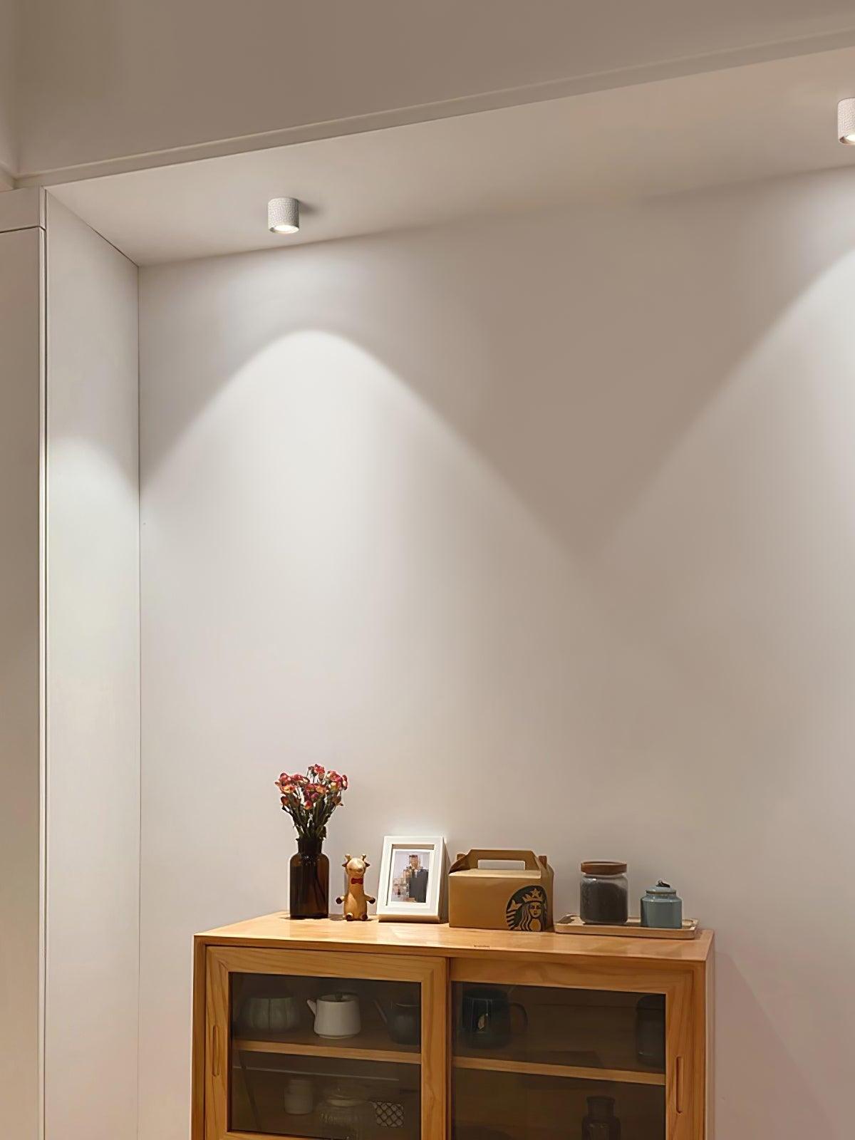 White ceiling lights above a pale wall and wooden glass-door cabinet with flowers, framed photo and vessels