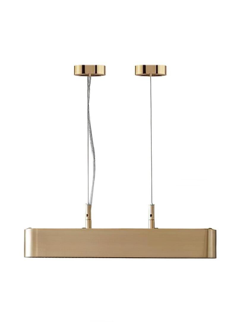 Colt 40 cm option: single brass housing suspended from two round canopies, isolated on white