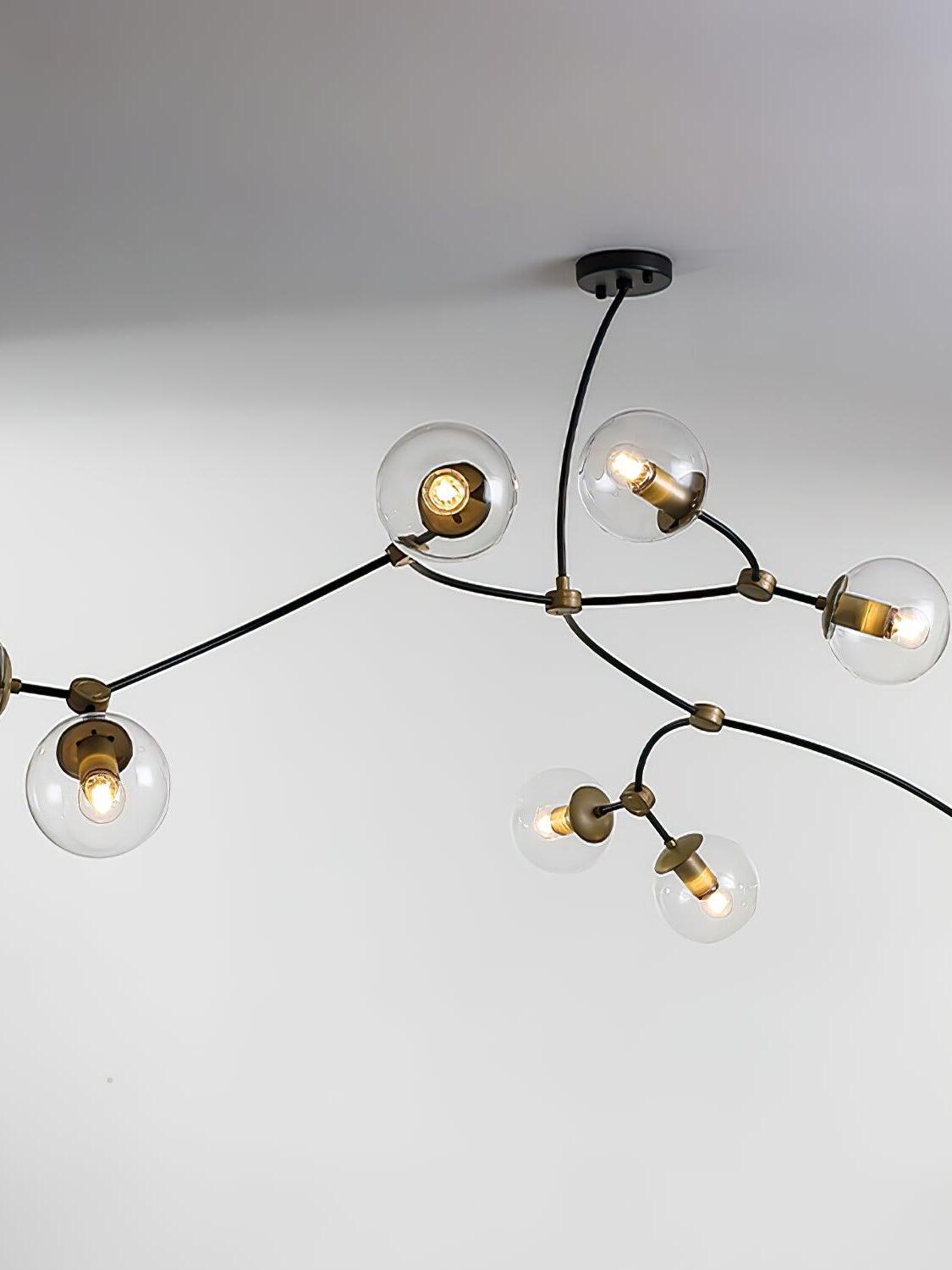 Close view of clear globes along black branching arms