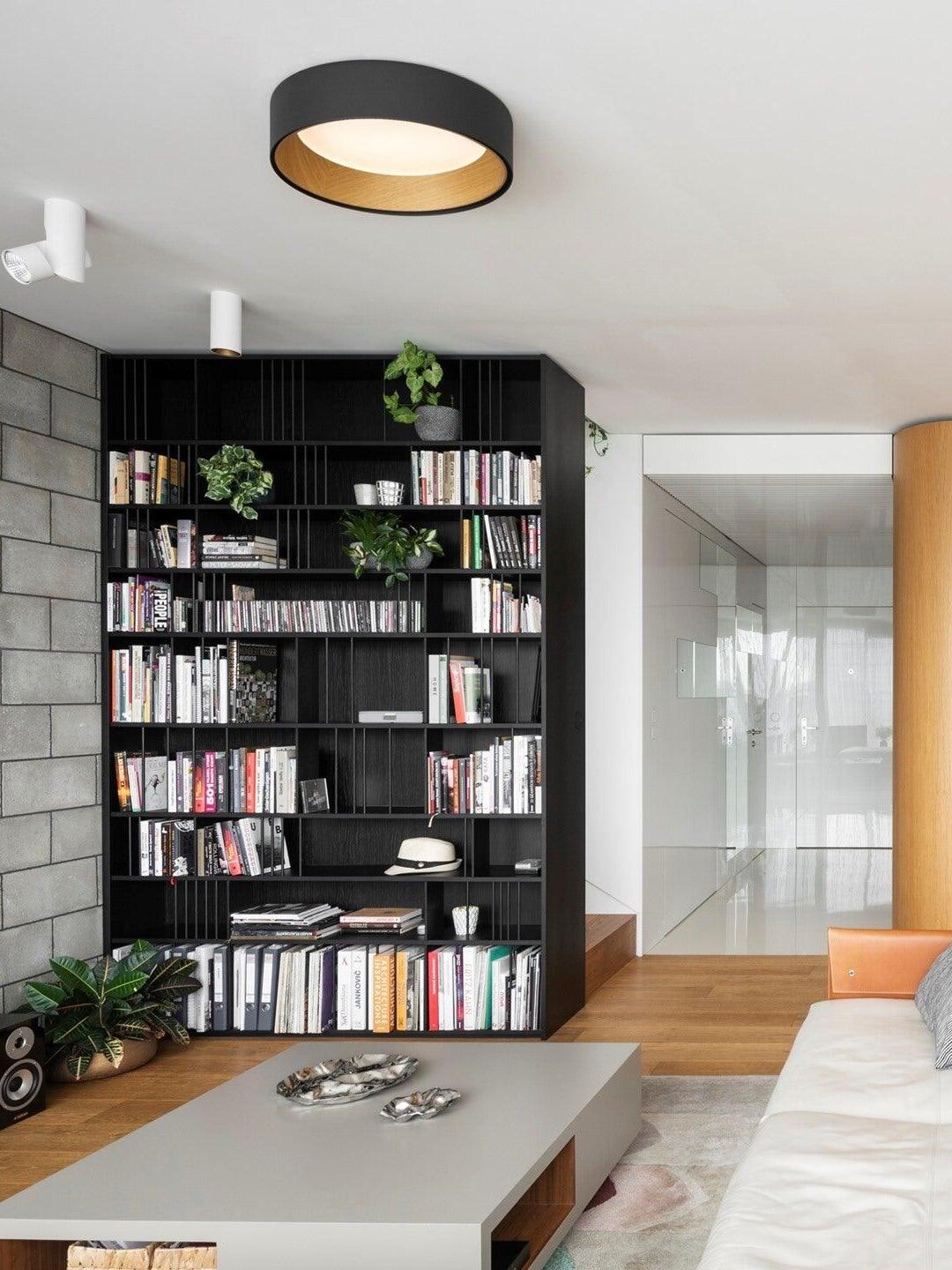 Black round ceiling light above living-room shelves