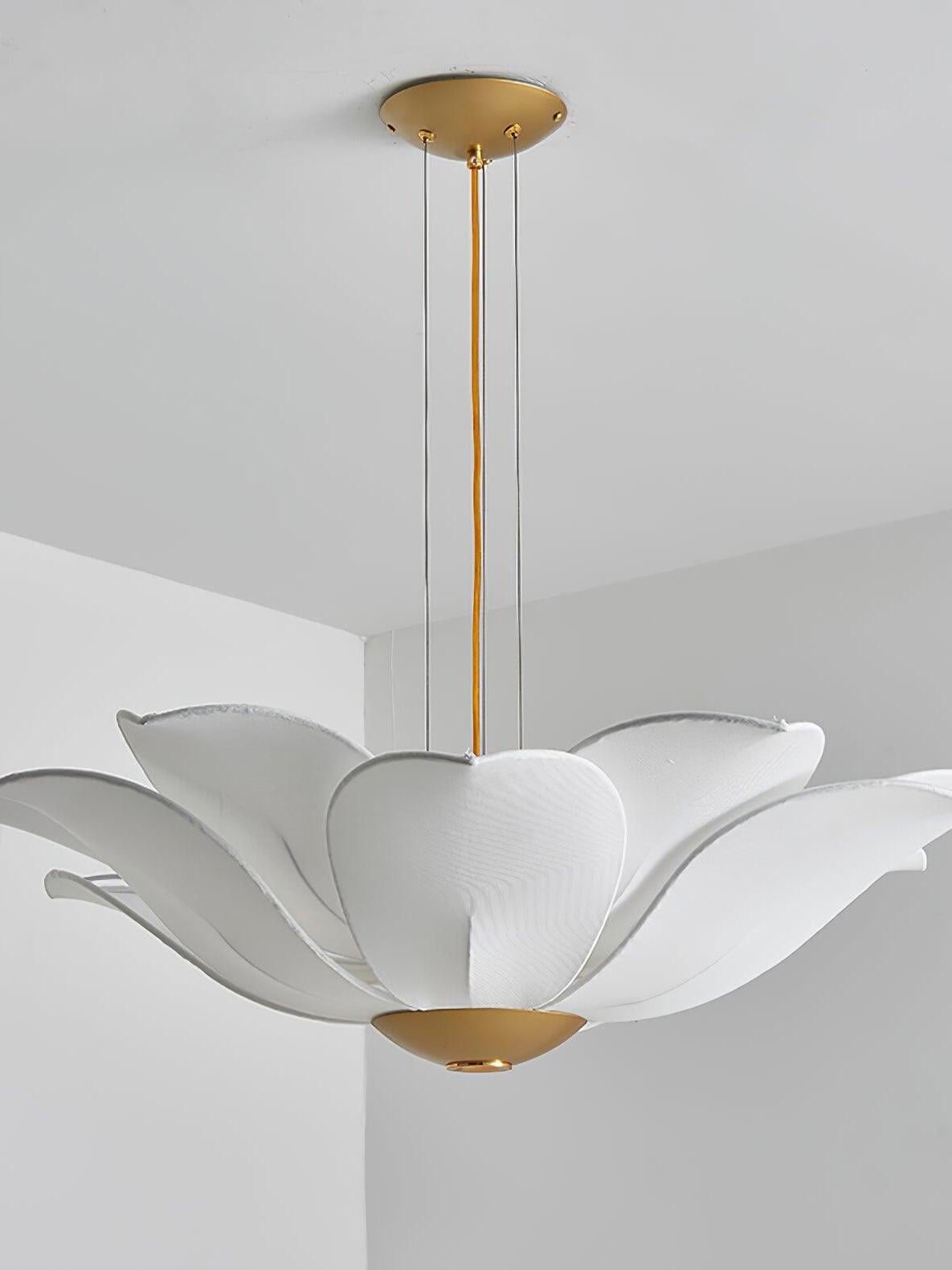 Close side view of white petals and gold centre