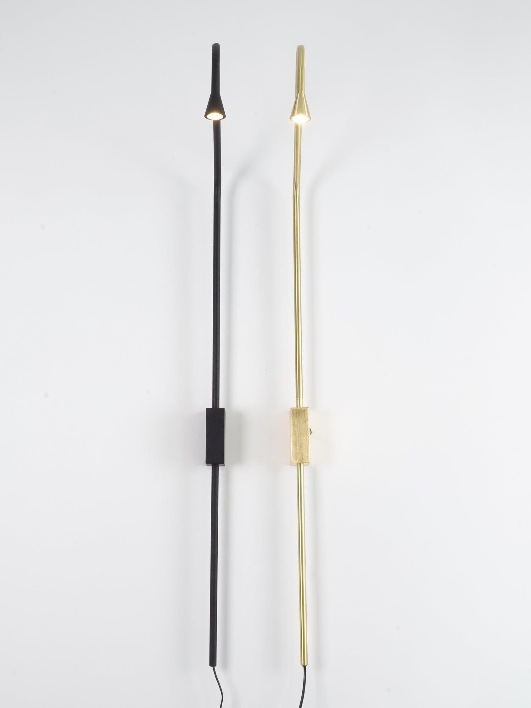 Front view of illuminated Black and Golden heads
