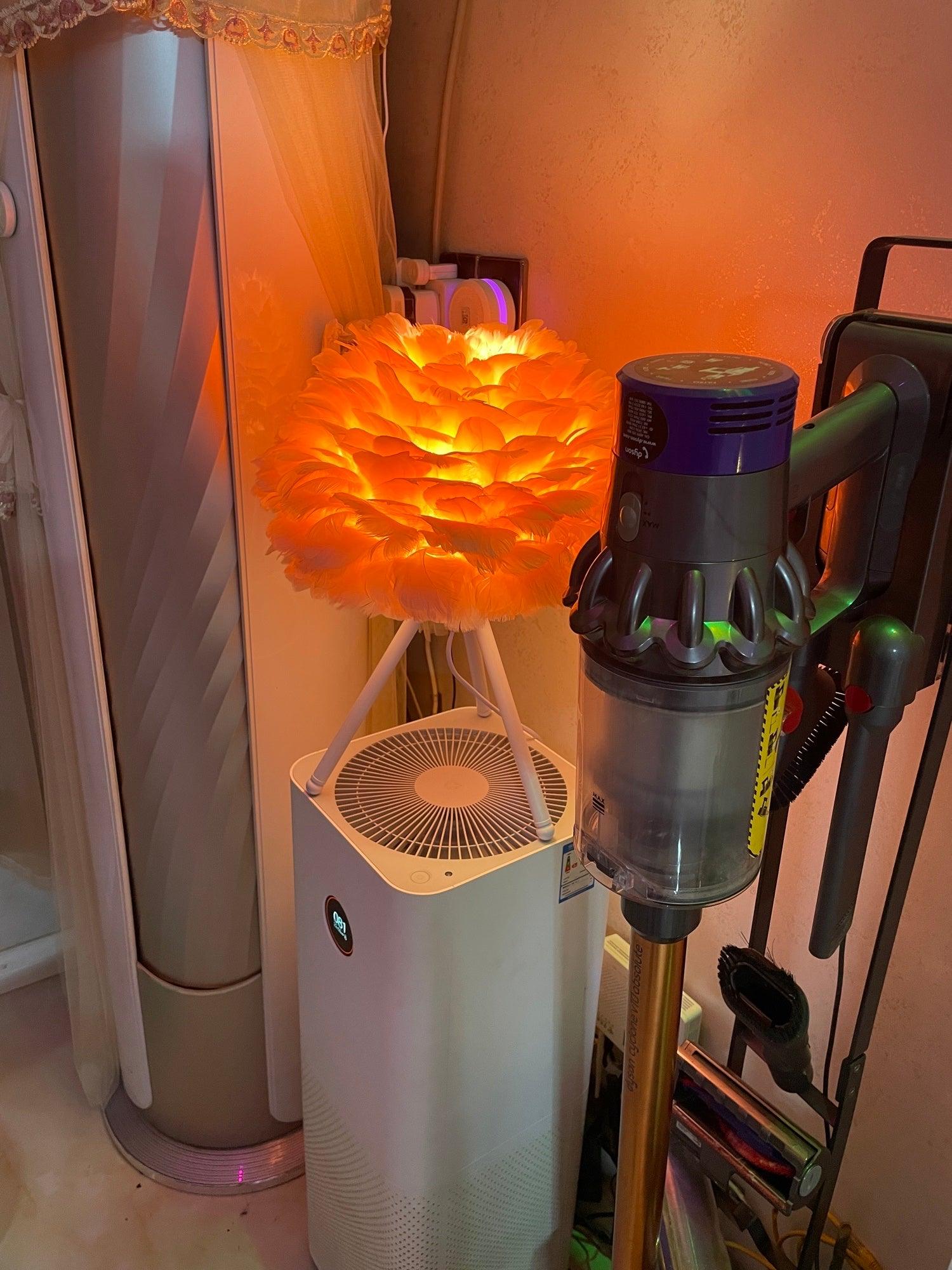 Orange-looking lit feather lamp near room objects