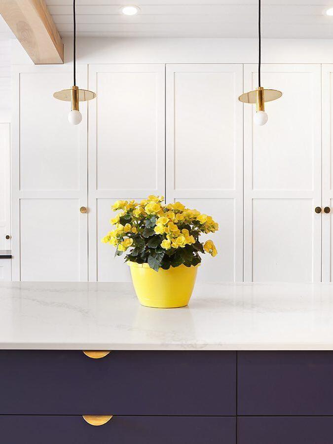 Two brass-tone disc pendants above a white kitchen island with yellow flowers