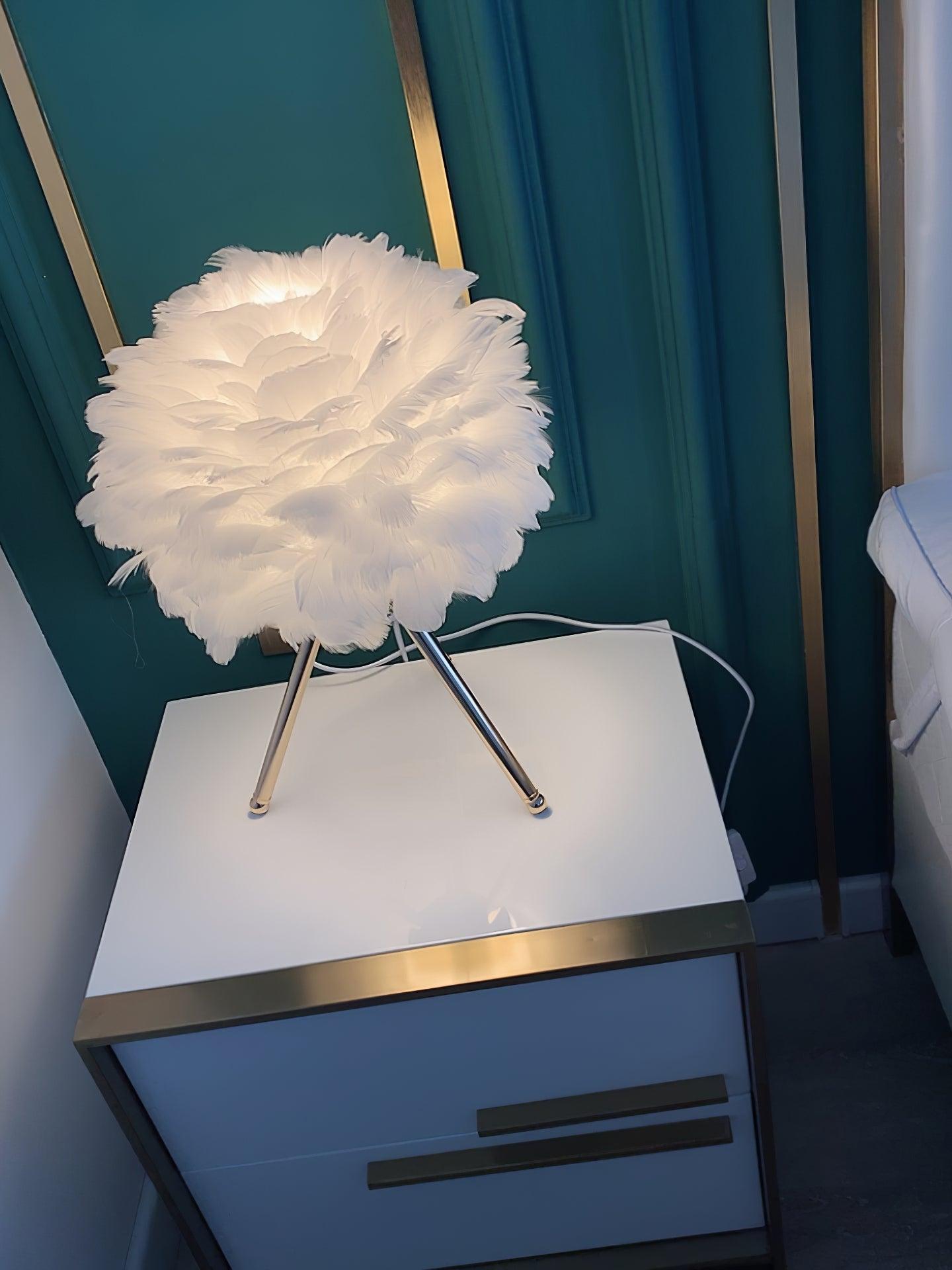 White feather lamp on bedside drawer with cord
