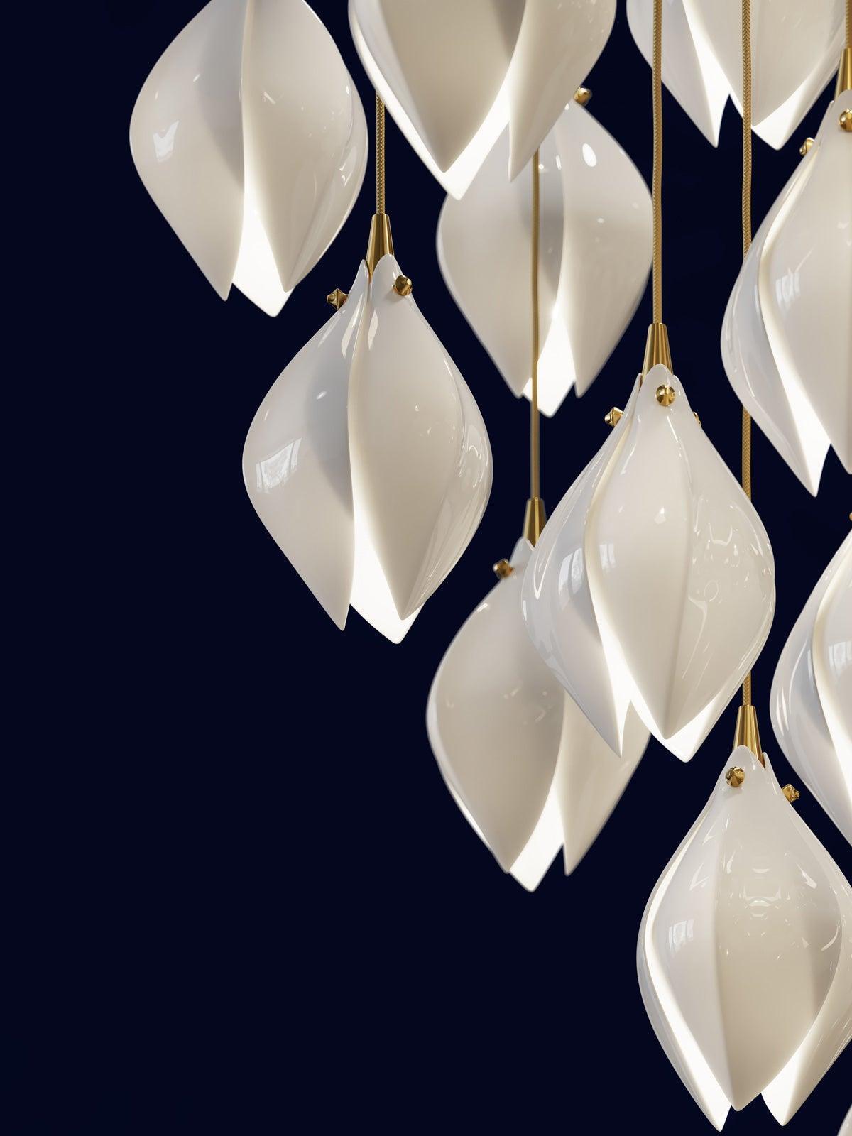 Illuminated floral shades on a dark blue background