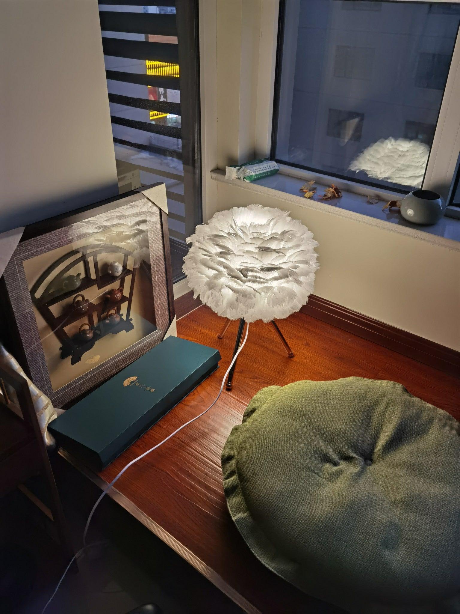 White feather lamp on desk below window