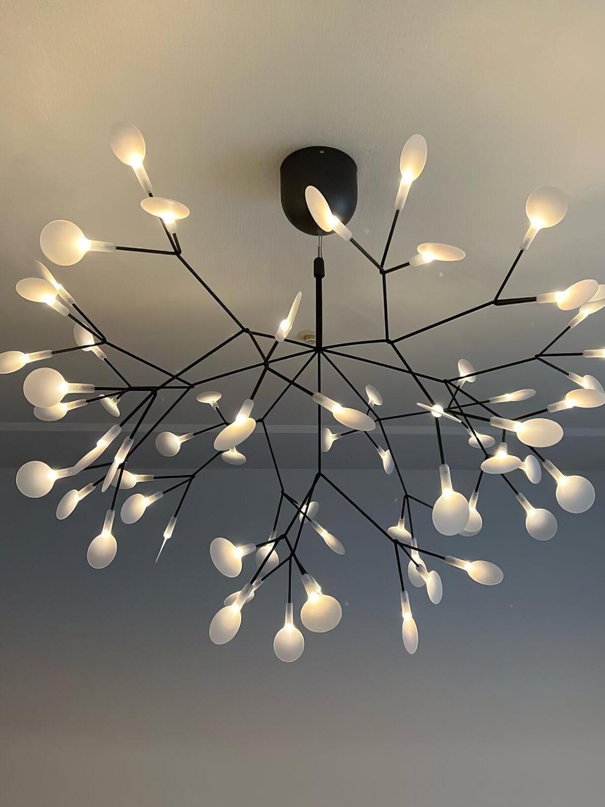 Black Heracleum Chandelier - Cueteks