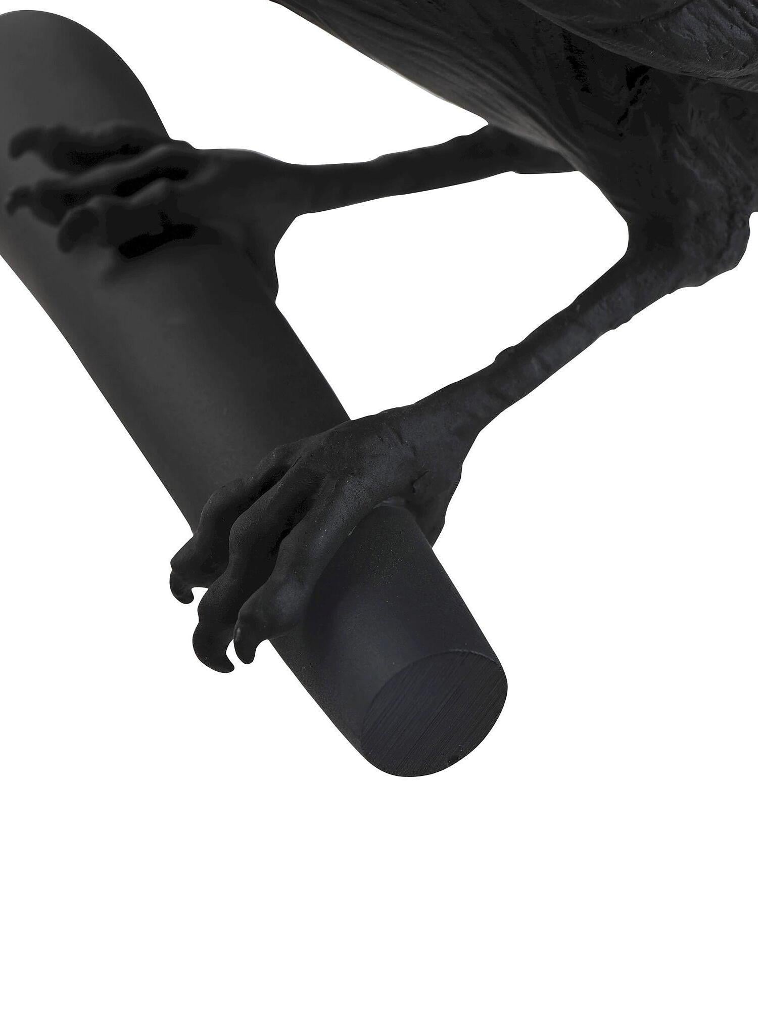 Detail of the black bird’s legs and claws gripping the cylindrical wall perch