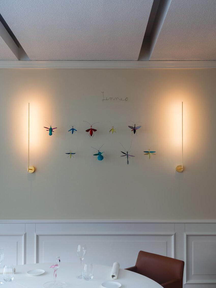 Paired Gold wall rods beside decorative birds
