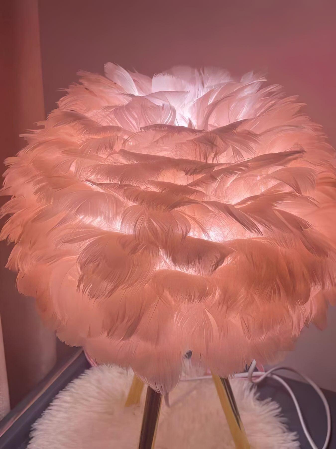 Close view of pink feather layers glowing