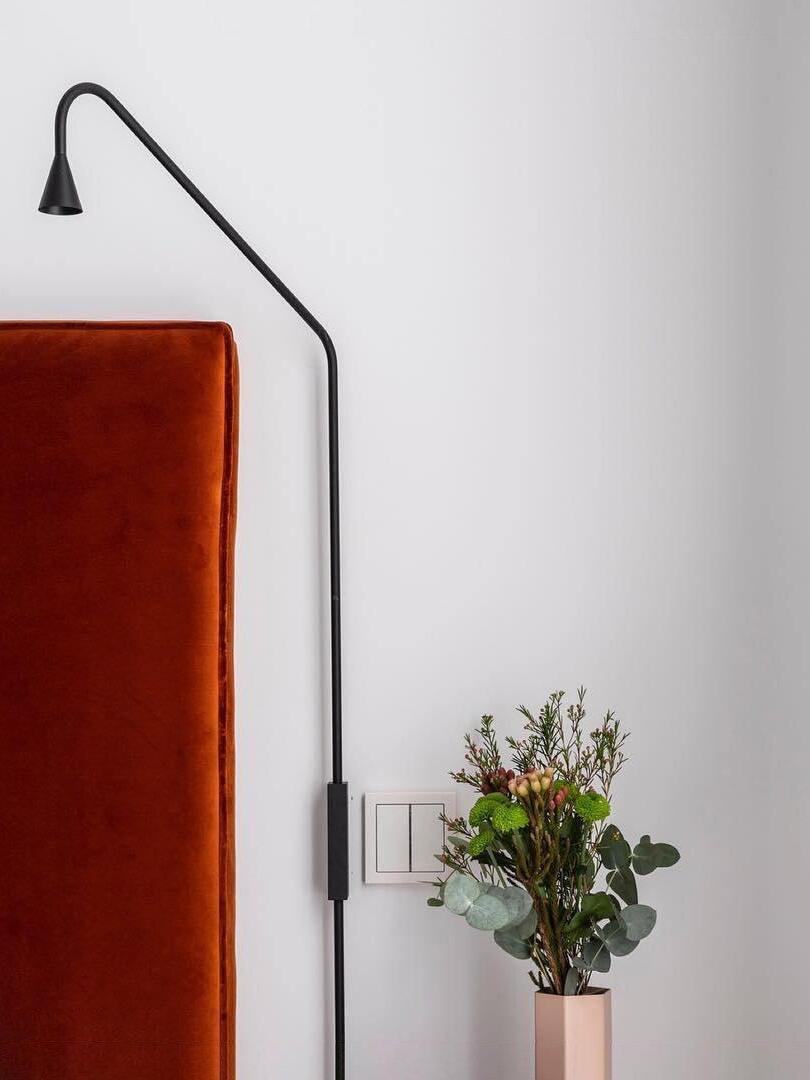 Black Austere beside a red headboard