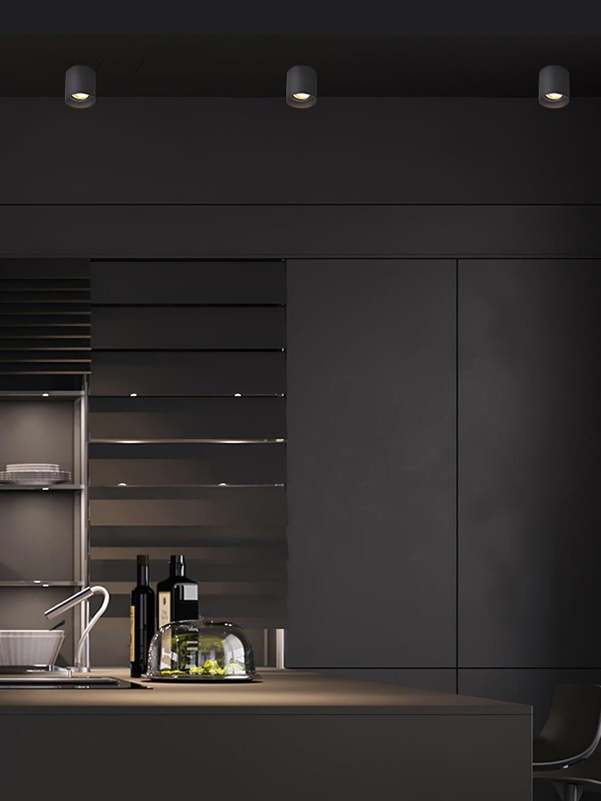 Three dark cylindrical ceiling lights above dark kitchen cabinetry, a sink, bottles and a glass food cover